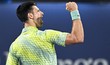 ATP 500 de Dubai: Veja como ficaram as quartas de final 