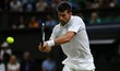 Djokovic vence Van Rijthoven e empata com Connors em Wimbledon