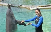 Beldade do circuito, Ivanovic visita aquário em Miami e dá beijinho em golfinho