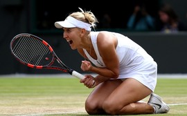 Veja quem pega quem nas semifinais femininas de Wimbledon