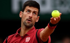 Djokovic passa fácil por freguês Berdych nas quartas de final em Roland Garros