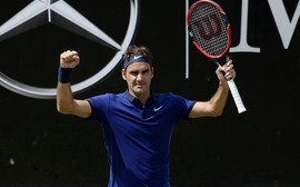 Diante de Goffin, Federer alcança 12ª semifinal em Halle